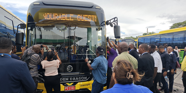 Over a Hundred Golden Dragon Buses Impress the Streets of Jamaica