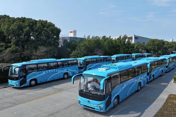 China New Energy Bus Sales in February 2025