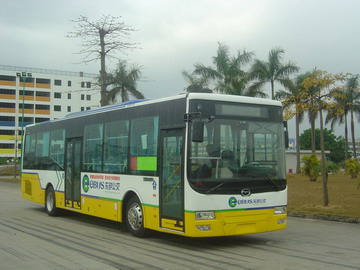 Wuzhoulong New Energy Bus