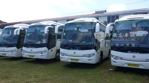 Zhongtong Buses Serve at a UN Meeting