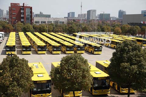 Sunlong buses